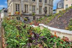 Bologne-town2