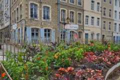 Bologne-town8