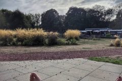 Chelmsford-1