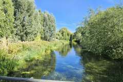 Chelmsford-2