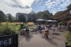Chelmsford-6